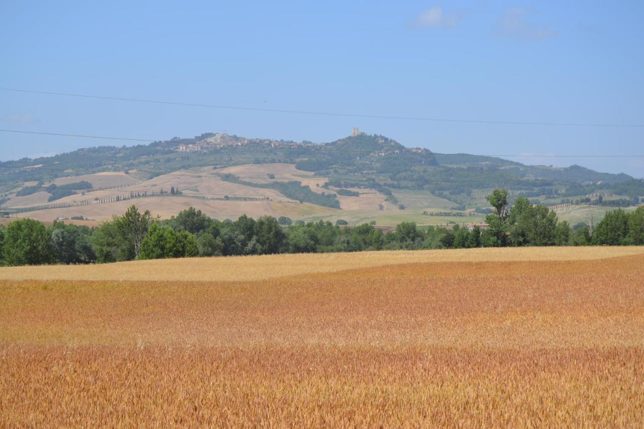 Valdorcia Belvedere B&B Pienza Exterior photo